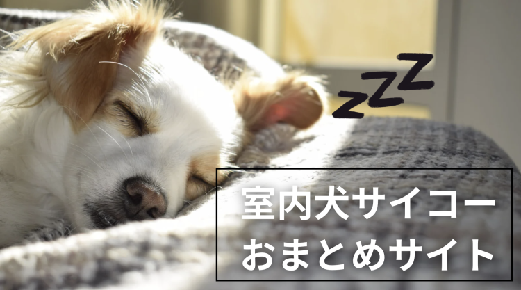 カワイイがいっぱい！ワンダーランド